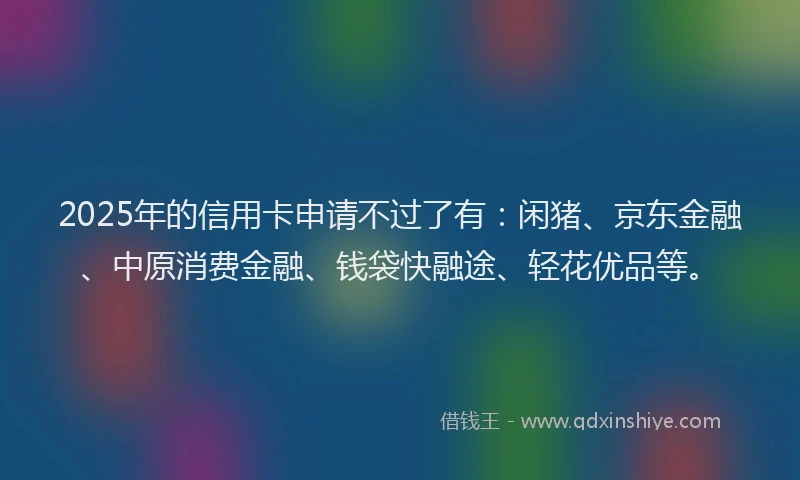 2025年的信用卡申请不过了有：闲猪、京东金融、中原消费金融、钱袋快融途、轻花优品等。