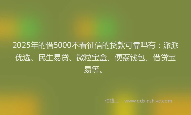 2025年的借5000不看征信的贷款可靠吗有：派派优选、民生易贷、微粒宝盒、便荔钱包、借贷宝易等。