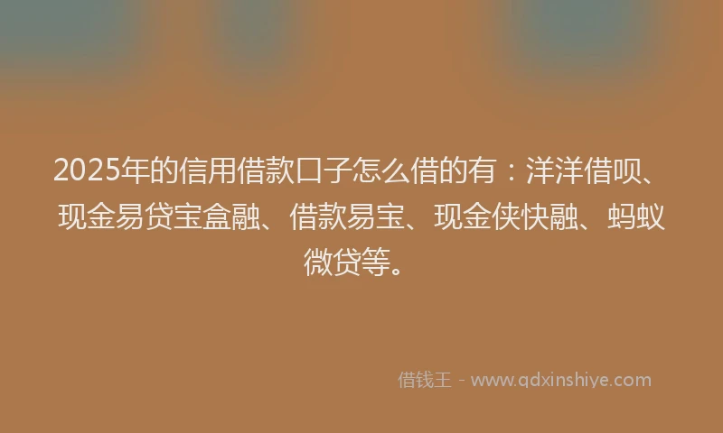 2025年的信用借款口子怎么借的有：洋洋借呗、现金易贷宝盒融、借款易宝、现金侠快融、蚂蚁微贷等。