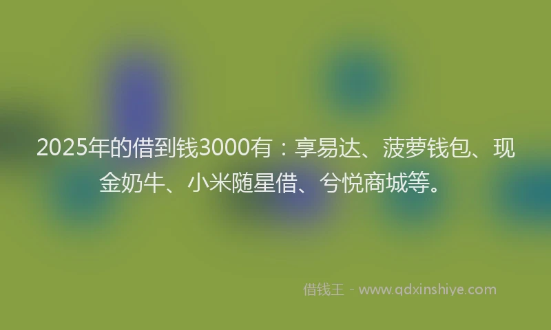 2025年的借到钱3000有：享易达、菠萝钱包、现金奶牛、小米随星借、兮悦商城等。