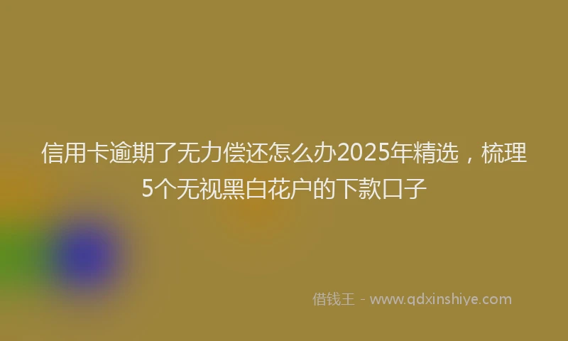 信用卡逾期了无力偿还怎么办2025年精选，梳理5个无视黑白花户的下款口子