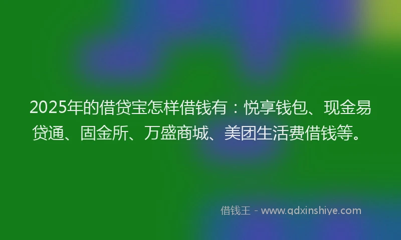2025年的借贷宝怎样借钱有：悦享钱包、现金易贷通、固金所、万盛商城、美团生活费借钱等。