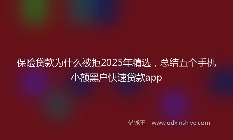 保险贷款为什么被拒2025年精选，总结五个手机小额黑户快速贷款app