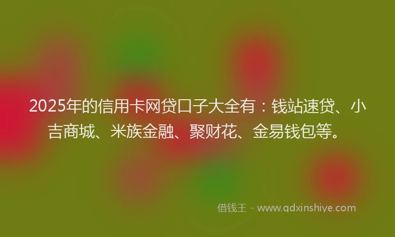 2025年的信用卡网贷口子大全有：钱站速贷、小吉商城、米族金融、聚财花、金易钱包等。