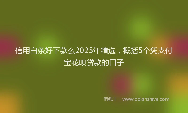 信用白条好下款么2025年精选，概括5个凭支付宝花呗贷款的口子