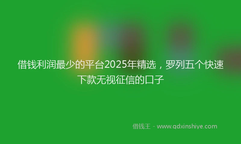 借钱利润最少的平台2025年精选，罗列五个快速下款无视征信的口子