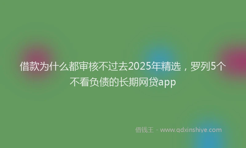 借款为什么都审核不过去2025年精选，罗列5个不看负债的长期网贷app