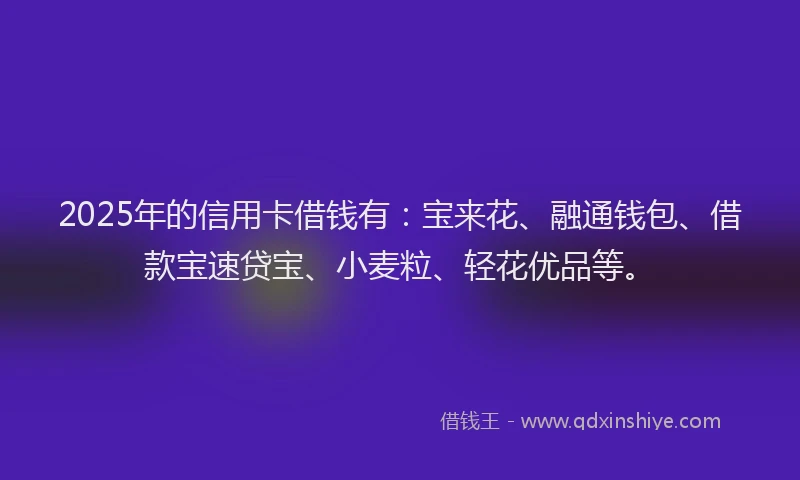 2025年的信用卡借钱有：宝来花、融通钱包、借款宝速贷宝、小麦粒、轻花优品等。
