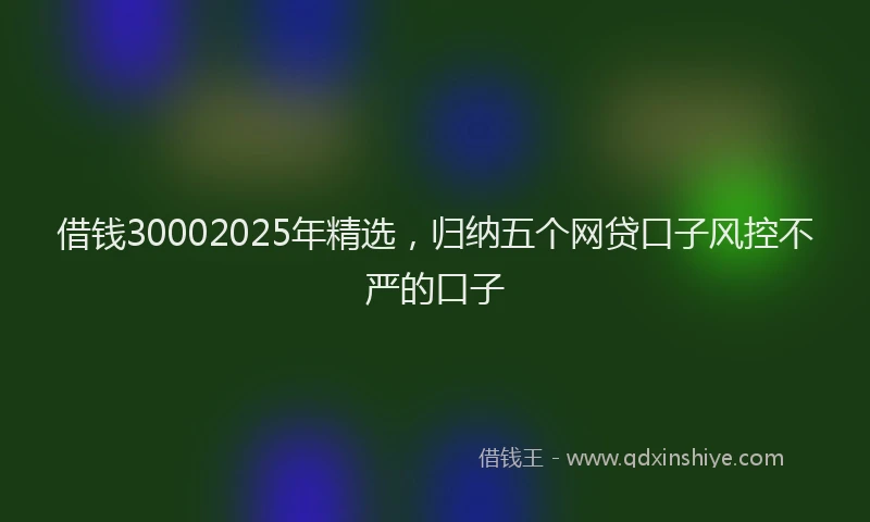 借钱30002025年精选，归纳五个网贷口子风控不严的口子