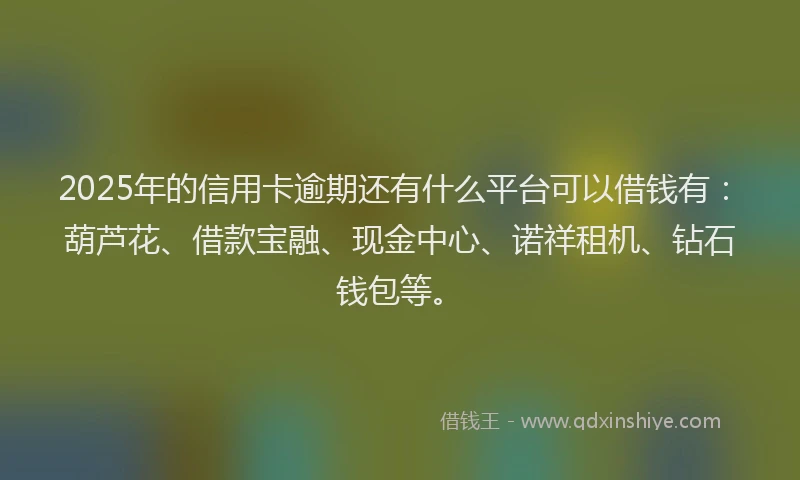2025年的信用卡逾期还有什么平台可以借钱有：葫芦花、借款宝融、现金中心、诺祥租机、钻石钱包等。