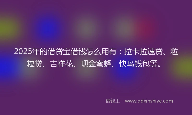2025年的借贷宝借钱怎么用有：拉卡拉速贷、粒粒贷、吉祥花、现金蜜蜂、快鸟钱包等。