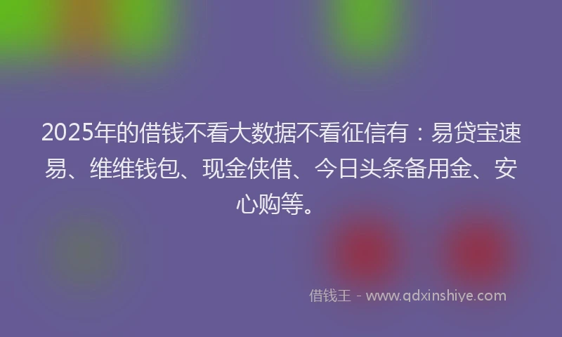 2025年的借钱不看大数据不看征信有：易贷宝速易、维维钱包、现金侠借、今日头条备用金、安心购等。