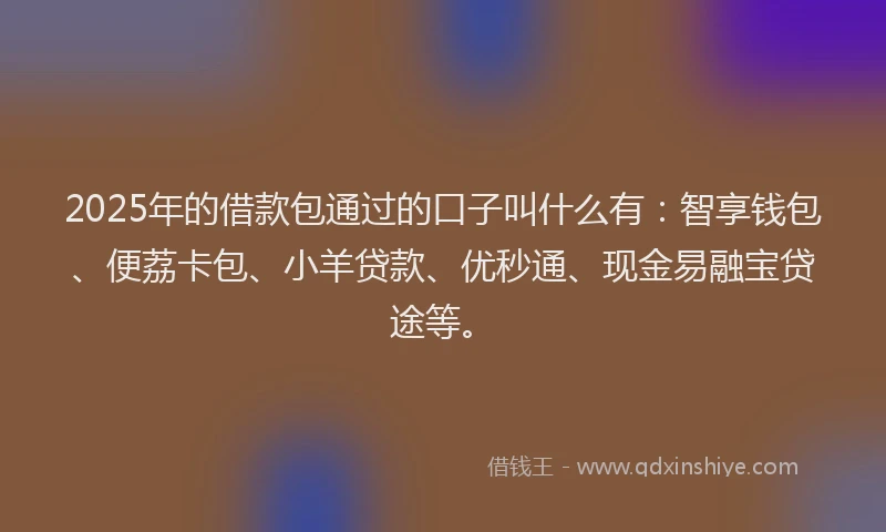 2025年的借款包通过的口子叫什么有：智享钱包、便荔卡包、小羊贷款、优秒通、现金易融宝贷途等。
