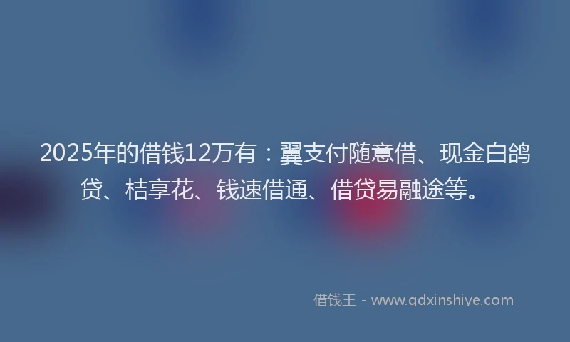 2025年的借钱12万有：翼支付随意借、现金白鸽贷、桔享花、钱速借通、借贷易融途等。