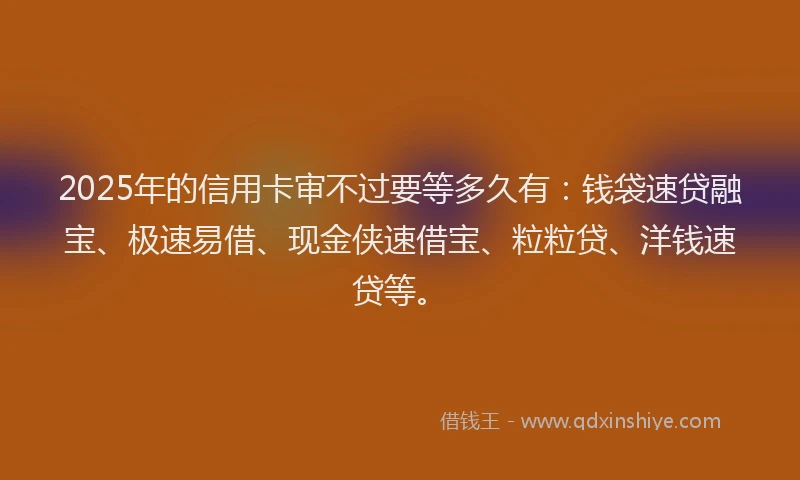 2025年的信用卡审不过要等多久有：钱袋速贷融宝、极速易借、现金侠速借宝、粒粒贷、洋钱速贷等。