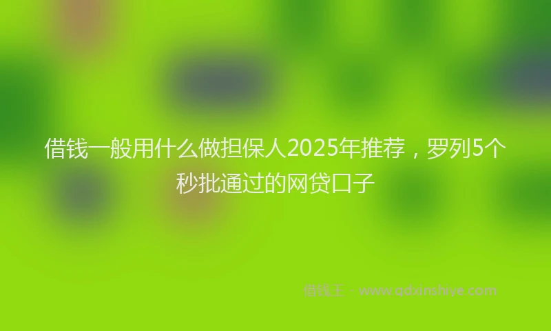 借钱一般用什么做担保人2025年推荐，罗列5个秒批通过的网贷口子