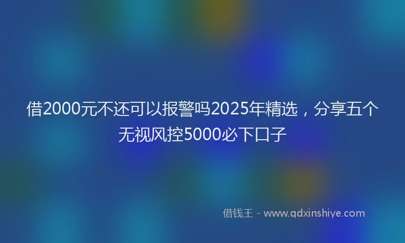 借2000元不还可以报警吗2025年精选，分享五个无视风控5000必下口子
