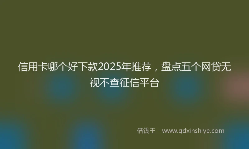 信用卡哪个好下款2025年推荐，盘点五个网贷无视不查征信平台