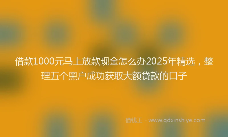 借款1000元马上放款现金怎么办2025年精选，整理五个黑户成功获取大额贷款的口子