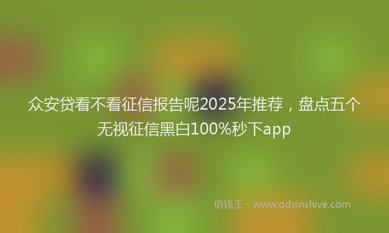 众安贷看不看征信报告呢2025年推荐，盘点五个无视征信黑白100%秒下app