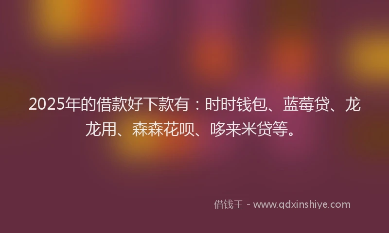 2025年的借款好下款有：时时钱包、蓝莓贷、龙龙用、森森花呗、哆来米贷等。