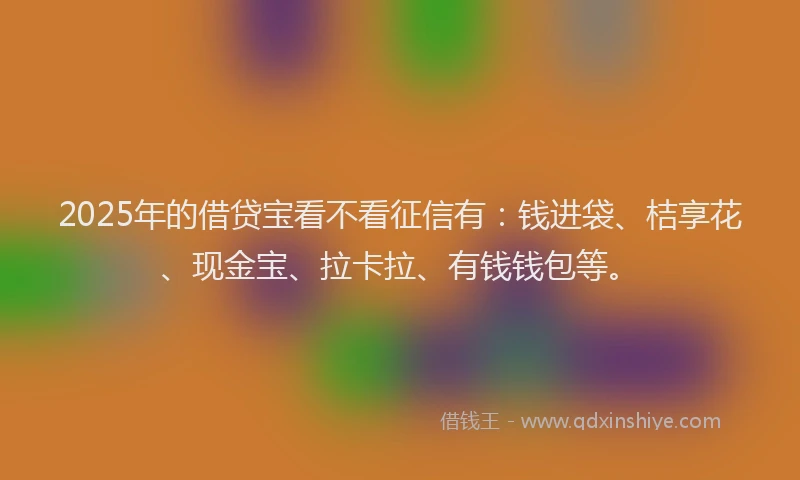 2025年的借贷宝看不看征信有：钱进袋、桔享花、现金宝、拉卡拉、有钱钱包等。