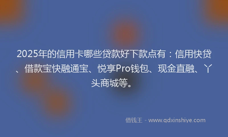 2025年的信用卡哪些贷款好下款点有：信用快贷、借款宝快融通宝、悦享Pro钱包、现金直融、丫头商城等。