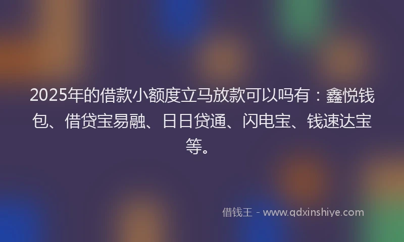 2025年的借款小额度立马放款可以吗有：鑫悦钱包、借贷宝易融、日日贷通、闪电宝、钱速达宝等。