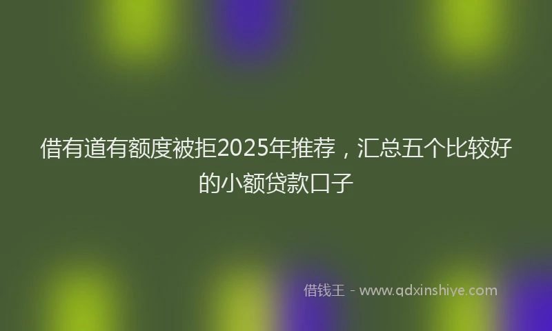 借有道有额度被拒2025年推荐，汇总五个比较好的小额贷款口子