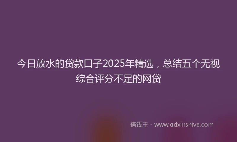 今日放水的贷款口子2025年精选，总结五个无视综合评分不足的网贷