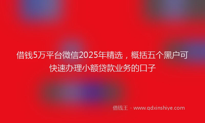 借钱5万平台微信2025年精选，概括五个黑户可快速办理小额贷款业务的口子