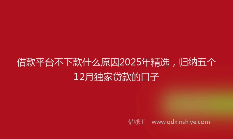 借款平台不下款什么原因2025年精选，归纳五个12月独家贷款的口子