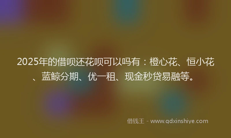 2025年的借呗还花呗可以吗有：橙心花、恒小花、蓝鲸分期、优一租、现金秒贷易融等。