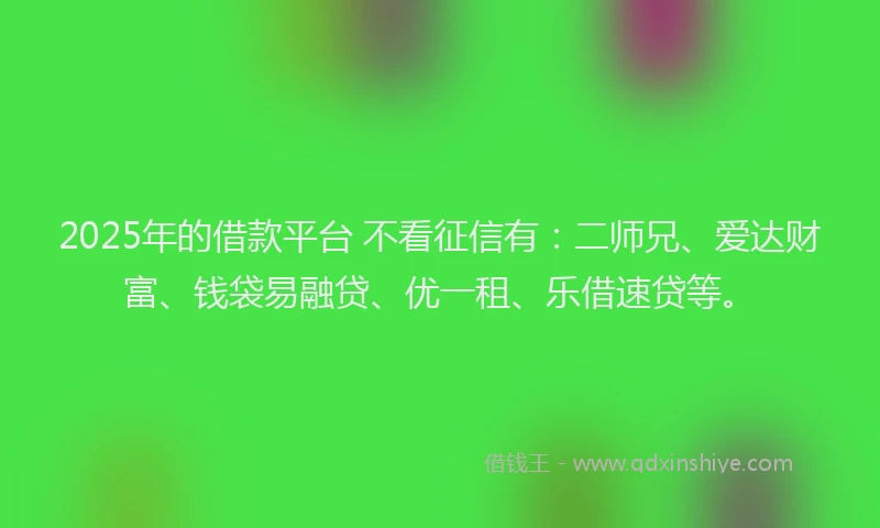 2025年的借款平台 不看征信有：二师兄、爱达财富、钱袋易融贷、优一租、乐借速贷等。
