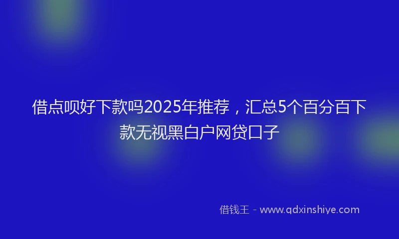 借点呗好下款吗2025年推荐，汇总5个百分百下款无视黑白户网贷口子