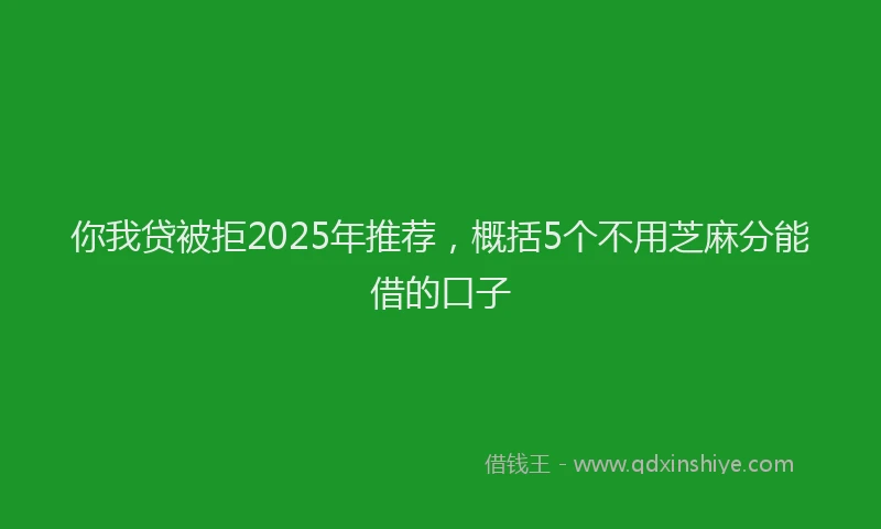 你我贷被拒2025年推荐，概括5个不用芝麻分能借的口子