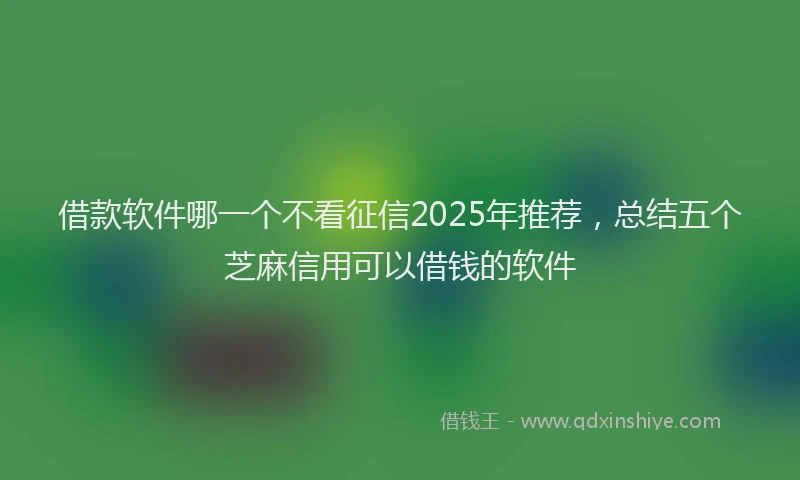 借款软件哪一个不看征信2025年推荐，总结五个芝麻信用可以借钱的软件