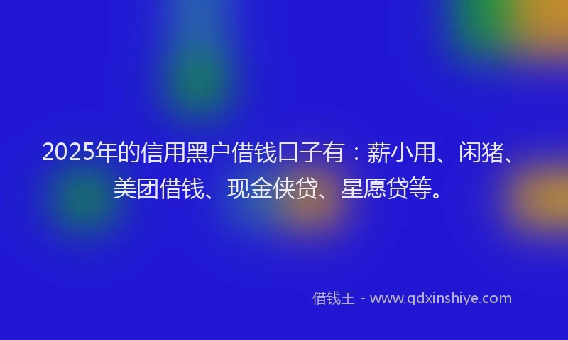2025年的信用黑户借钱口子有：薪小用、闲猪、美团借钱、现金侠贷、星愿贷等。