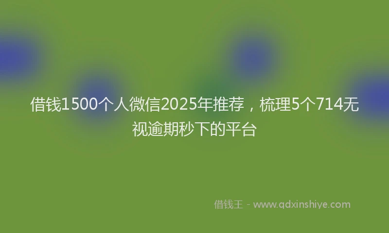 借钱1500个人微信2025年推荐，梳理5个714无视逾期秒下的平台