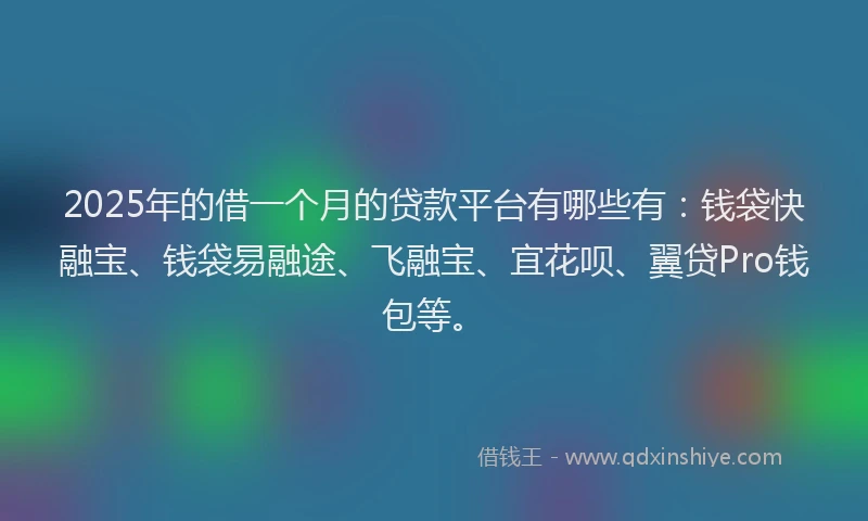 2025年的借一个月的贷款平台有哪些有：钱袋快融宝、钱袋易融途、飞融宝、宜花呗、翼贷Pro钱包等。