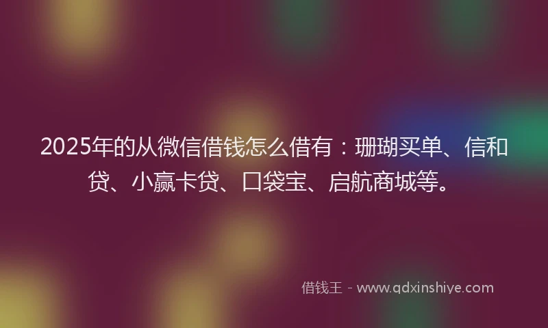 2025年的从微信借钱怎么借有：珊瑚买单、信和贷、小赢卡贷、口袋宝、启航商城等。