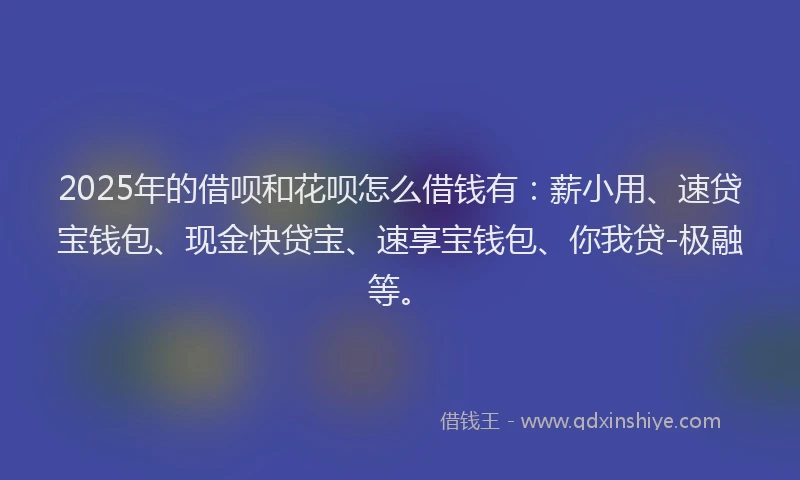 2025年的借呗和花呗怎么借钱有：薪小用、速贷宝钱包、现金快贷宝、速享宝钱包、你我贷-极融等。