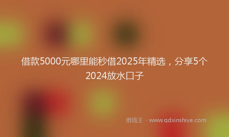 借款5000元哪里能秒借2025年精选，分享5个2024放水口子