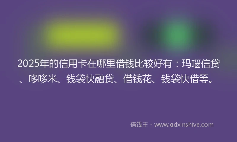 2025年的信用卡在哪里借钱比较好有：玛瑙信贷、哆哆米、钱袋快融贷、借钱花、钱袋快借等。