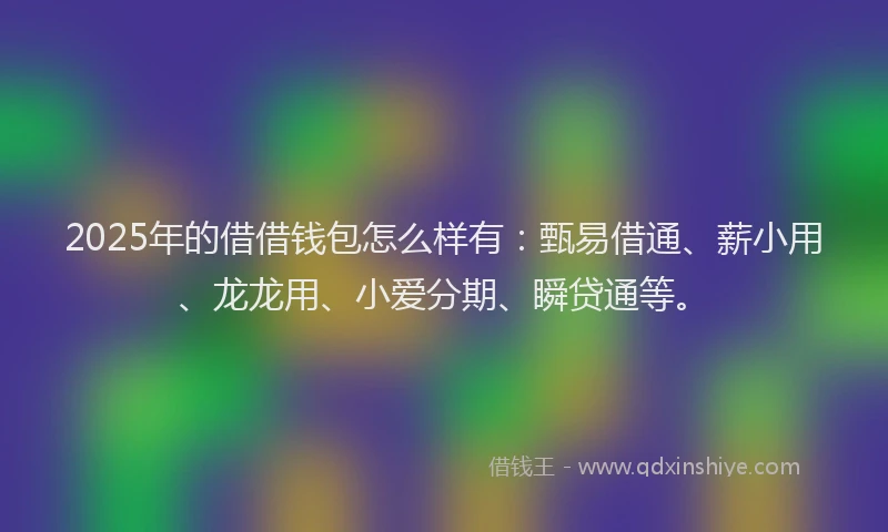 2025年的借借钱包怎么样有：甄易借通、薪小用、龙龙用、小爱分期、瞬贷通等。