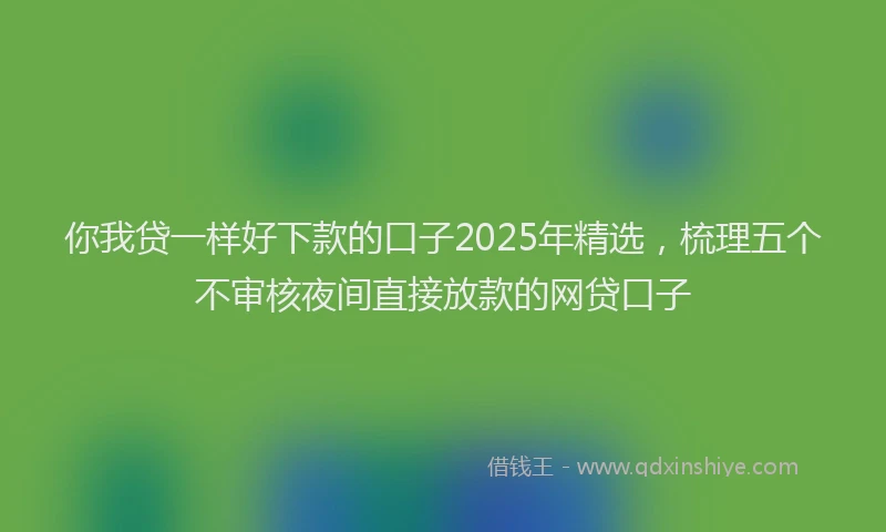 你我贷一样好下款的口子2025年精选，梳理五个不审核夜间直接放款的网贷口子