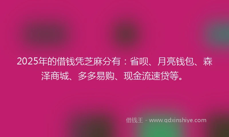 2025年的借钱凭芝麻分有：省呗、月亮钱包、森泽商城、多多易购、现金流速贷等。