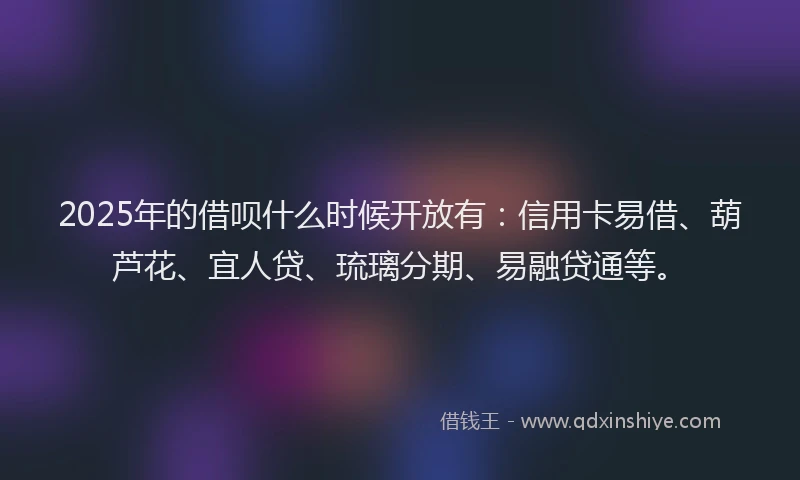 2025年的借呗什么时候开放有：信用卡易借、葫芦花、宜人贷、琉璃分期、易融贷通等。