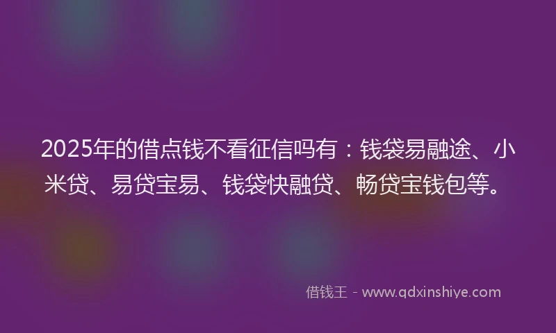2025年的借点钱不看征信吗有：钱袋易融途、小米贷、易贷宝易、钱袋快融贷、畅贷宝钱包等。