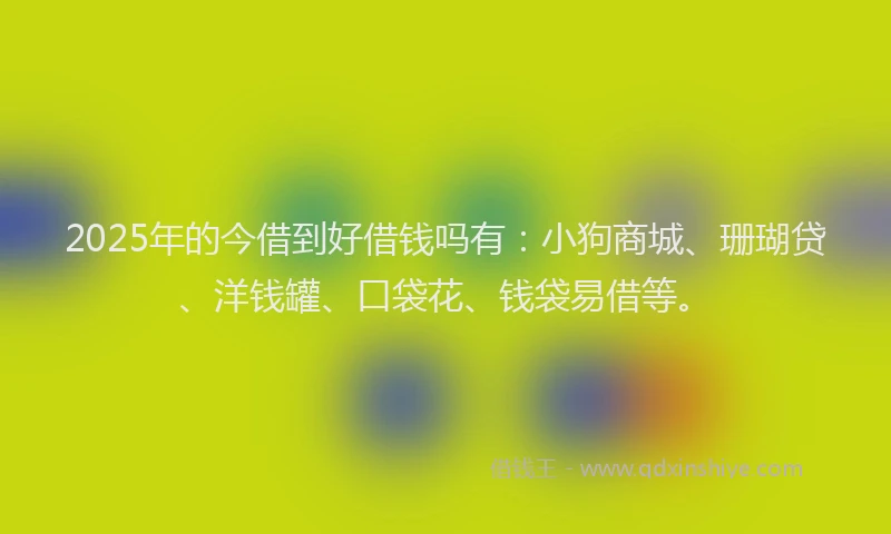2025年的今借到好借钱吗有：小狗商城、珊瑚贷、洋钱罐、口袋花、钱袋易借等。